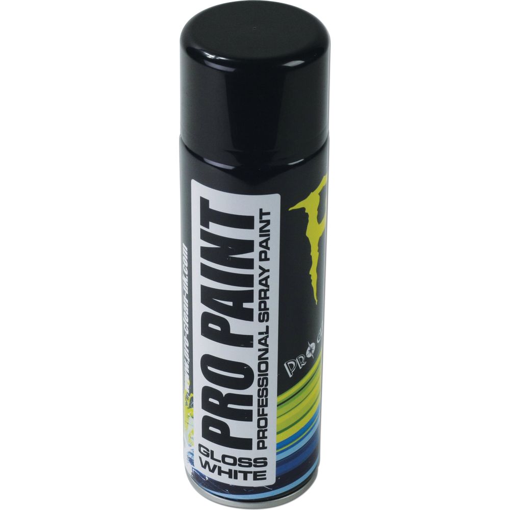 Pro Clean Pro Paint Professional Paint Gloss White - ThrottleChimp