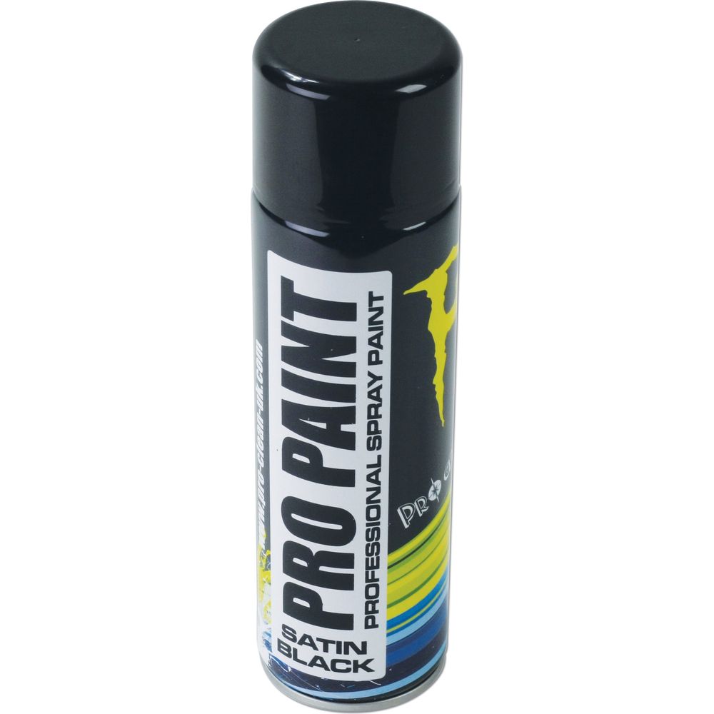 Pro Clean Pro Paint Professional Paint Matt Black - ThrottleChimp