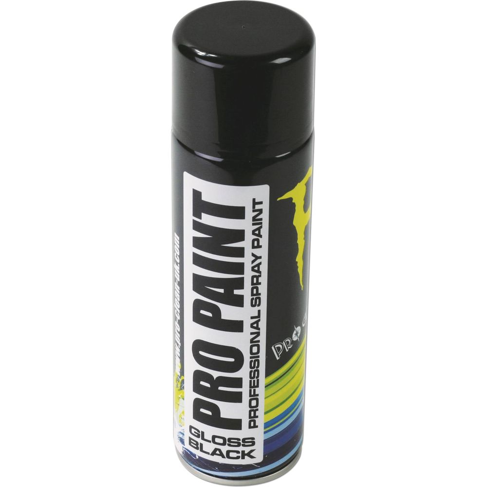 Pro Clean Pro Paint Professional Paint Gloss Black - ThrottleChimp